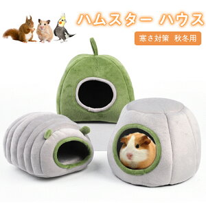 yԌFP5{+10%OFFznX^[ nEX ~  bg Q Q A h[^ 􂦂 z NbV _炩  nlY~ LN} ӂӂ   xbh 