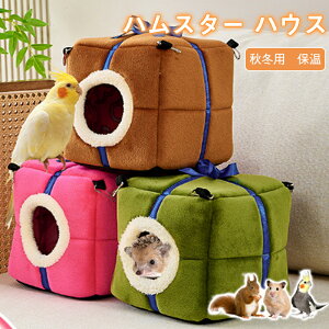 yԌFP5{+10%OFFz nX^[ nEX ~  bg Q Q A h[^ 􂦂 z NbV _炩  nlY~ LN} ӂӂ   xbh 