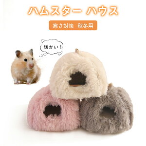 yԌFP5{+10%OFFznX^[ nEX ~  bg Q Q A h[^ 􂦂 z NbV _炩  nlY~ LN} ӂӂ   xbh 