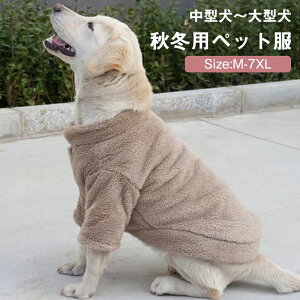 y労ӍՁIP5{+10%OFFzybg   ~ {A R[g WPbg p[J[ g[i[ ߑ ӂӂ  킢  H~ hbO hbOEFA ybgp ^ ^