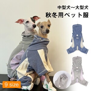 yԌFP5{+10%OFFzC^A O[nEh Z[^[ EBybg  ~ l{ g  WvX[c ̃t[X pWPbg [ht 킢q vI[o