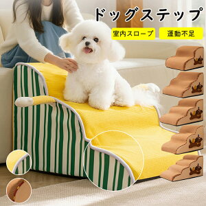 yԌő10OFFz  Ki Xebv X[v pݑ ~ ybgpi ϋv xbh\t@AO\A􂦂AL hbOXebv Xebv ⏕o ȊwIȊpx  