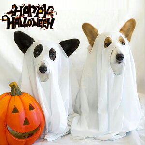 nEB RXvߑ ybg  ybg ϐg pXq RXv RX`[ p  RXv ybg ϑObY 낢 ^ ^ RXv NX}XU