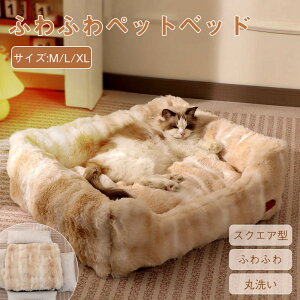 �y�労�ӍՁ�P5�{+�N�[�|���z�y�b�g�x�b�h �X�N�G�A �~ �w������ �����̂� �� �L �~ �y�b�g�n�E�X �􂦂� �L�x�b�h �ӂ�ӂ� �������� �N�b�V���� �y�b�g�\�t�@ ��/���^�� �N�b�V���� �L �`��