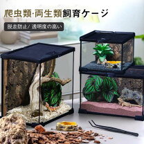 楽天市場】3y（爬虫類・両生類｜ペット・ペットグッズ）の通販