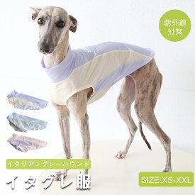 【期間限定:10%OFFクーポン】【新作登場】イタリアングレーハウンド ミニピン 服 夏服 イタグレ ペット 服 犬 服 春 夏 ナイロン ハイネック タンクトップ スポーティータンク 速乾仕様 熱中症対策 シンプル 部屋着 お出かけ ストレッチ素材 機能性素材