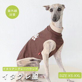 【限定★2点500円OFF】イタグレ 服 接触冷感 ひんやりトップス ハイストレッチ カットソー 犬 服 夏服 Tシャツ 犬 伸縮性 イタグレ イタリアングレーハウンド 犬服 洋服 ミニピン ミニチュアピンシャー サイトハウンド おしゃれ ハイネック ライト