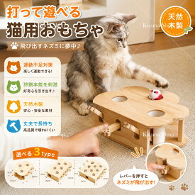 ＼本日23:59まで！全品P5倍＆5％OFF／猫用おもちゃ ネズミおもちゃ 猫おもちゃ 打ち出し式 猫用玩具 ひとり遊び 知育玩具 運動不足対策 ストレス発散 狩猟本能を刺激 木製 天然木 3穴 5穴 8穴 レバー式 サイドホール付き ねずみ玩具 猫じゃらし 猫用知育トイ 室内遊び