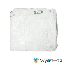 白防炎シート 5.4m×7.2m（ハトメピッチ450P） ★2枚セット　ハトメあり建築資材 雨水対策 雨養生 足場シート 加工用 目隠しシート 防炎 工事現場 消防庁認定防炎ラベル付 養生シート 野積みカバー 床面養生