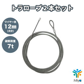 トラロープ　12mmx20m　(4分) 　2本セット　6x24O/O　建て起こしワイヤー　ワイヤー　アイ加工/シングルロック　建ち起こし　建て方　【送料無料】