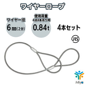 JIS玉掛 ワイヤーロープ 6mmx1m【4本セット】 (2分)　1本あたり　0.3t　300Kg　ロック加工6x24　A種　両アイ加工　玉掛け　クレーン作業　ワイヤー　ロープ　玉掛　鋼　鋼索　【送料無料】