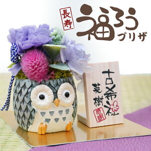 古希 お祝い 女性 プリザーブドフラワー ふくろう 和風 名入れ 【 長寿 ふくろう プリザ 】 喜寿 祝い 77歳 誕生日プレゼント 70歳 ギフト かわいい カーネーション 祖父 祖母 60代 70代 80代 女