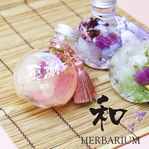 n[oE a  y n[oE a z ΂ 80 v[g  hCt[ O bZ[W  LO c e av[g  70 80 җj 