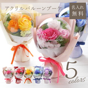 u[P \[vt[ ԑ ANo[  y ANo[u[P zv[g o[ t[  j u[P Pi a Əj LO j  