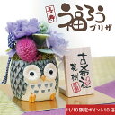 ＼11月10日限定ポイント10倍！／古希 お祝い 女性 プリザーブドフラワー ふくろう 和風 名入れ 【 長寿 ふくろう プリザ 】 喜寿 祝い 77歳 誕生日プレゼント 70歳 ギフト かわいい 祖父 祖母 60代 70代 80代 女性 母親 還暦祝い 赤 傘寿祝い 米寿 卒寿 翌々営業日出荷