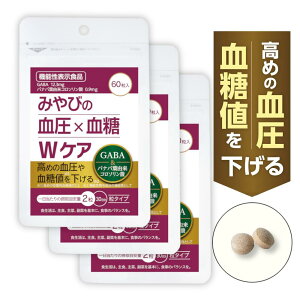 yb ߂̌ƌlTvz ݂т  ×  WPA ×3܃Zbg 90y R\_ GABA z @\\Hi Tvg Mo oiot CX N