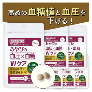 _ P20{ 271:59܂ ^ yb ߂  l ΍Tvz ݂т̌×WPA ×6܃Zbg 񔼔N @\\Hi Tvg oiotGLX GABA Mo R\_ 