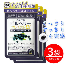 【送料無料｜ ブルーベリー サプリ 】 ビルベリー プレミアムα ×3袋セット 約90日分【注 目 のサプリメント 】 アイケア ルテイン ポリフェノール ビタミン B A E メグスリノキ アントシアニン アスタキサンチン マキベリー