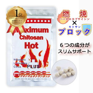 _ SS P20{ 11 2܂Ł^ y JvTCV Tv z }LV}LgTzbg ×1 20 y _CGbg T|[g z  Tvg nol L-Jj` VgX LgT Ml