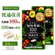 【 乳酸菌 お通じ改善 サプリ 】 二年熟成・植物酵素100 ×2袋セット 約60日分【 機能性表示食品 】 酵素…