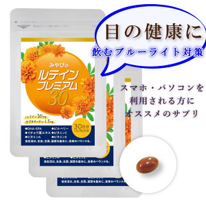 yb eC Tv zeCv~A30 ×3܃Zbg 90 y [ALT` z 12    O Tvg }[S[h JemCh rx[ DHA EPA 