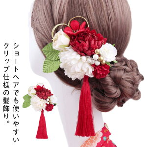 ���� ���l�� 1�_ �w�A�A�N�Z�T���[ �N���b�v ���� �V���[�g�w�A ���� ���Ǝ� ������ �a�� ������ �� �U�� ���l�������� �a������ �^�b�Z�� �ԉΑ�� �܂ݍ׍H ������ ���w�� ����߂� ���� 