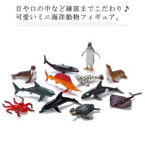 Cm  tBMA 12Zbg  q A ~j  ͌^ mߋ yM CJ AVJ AUV }_R E~K av[g NX}Xv[g Mtg