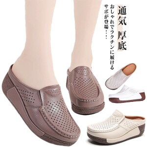 T{T_  Xb| fB[X T_ JWAV[Y yʐ݌v ~ r bV ʋCK L ʋC t  EH[LOV[Y T_ Xj[J