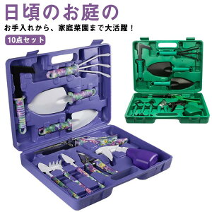 A 񂹐A |HZbg ڐAXRbv 10_Zbg nhVx Aւ Xv[{g K[fjOc[ ڐA |HLbg |pi F 뉀 |pi 