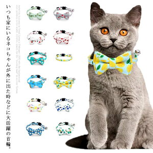 L lR̎ L  ̎ L^obN lR Lbg lRObY LObY y 킢   \ 