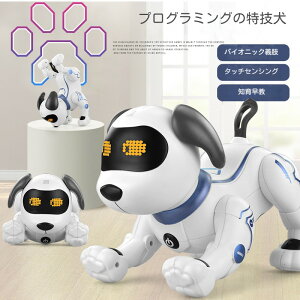 {bg  ybg {bg lC  X^ghbO ybg{bg vO~O av[g q  j̎q ̎q a v[g w qǂ mߋ m