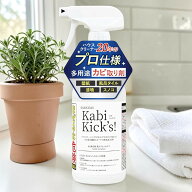 【現場20年のプロ愛用】カビキックス カビ取りスプレー 450ml お風呂 掃除 カビ取り剤 エアコン ゴムパッ…