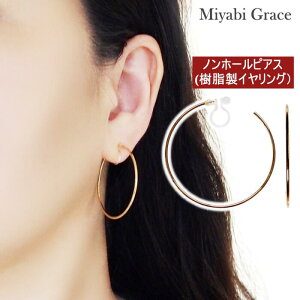 mz[sAX CO fB[X 傫 S[h t[v CO lC ɂȂ sAX݂ Ԃ t[v Vv ւ  CO mz[sAX y CA