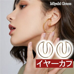 CO fB[X Vo[ cCXg C[Jt Ԃ t[v CO lC ɂȂ A | CO CJt yCAOz ~rO[X CO mz[s