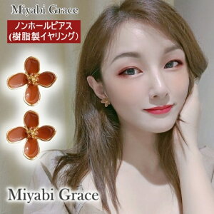 mz[sAX CO fB[X ɂȂ lC sAX݂ȃsN IW t[  CguE Ԃ S[h 傫 CO mz[sAX  i