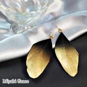 CO fC?X mz[sAX ɂȂ lCzCg  H tFU[ h y  sAX _X ubN  S[h sN O[  S[h Ԃ  