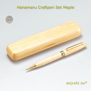 zOh Ԋ NtgyZbg [v P[X/17.2×4.2×2.4cm {[y/1.7×14.5cmؐ y [ ML G