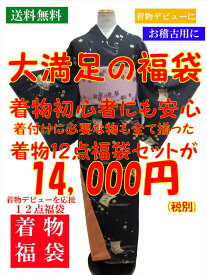 今だけ 着付け お稽古 小紋 着物福袋 限定50セット 販売 着物 初心者にも 安心 小紋着物 12点フルセット