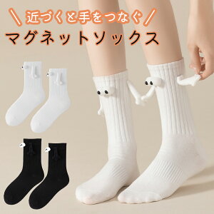 y݌Ɉ|IN[|1,386~z 2Zbg C   u \bNX jp Y fB[X }Olbg    ؍ nC\bNX   낢 oq o