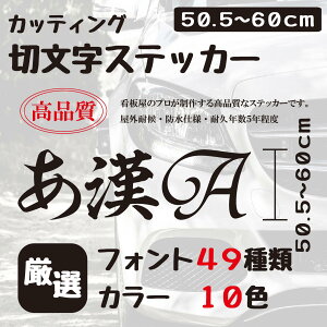 XebJ[ 쐬  X  60cm܂œi AEghA  Ŕ鍂i I[_[ JbeBO ؂蕶  \D O |Xg 