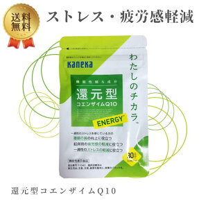 JlJ Ҍ^RGUCQ10 킽̃`J XgX ӊ ̎ Ҍ^ RGUC Q10 J x  邳 ENERGY KANEKAm@\\Hin( 460mg×30 ) 30 ׎3800