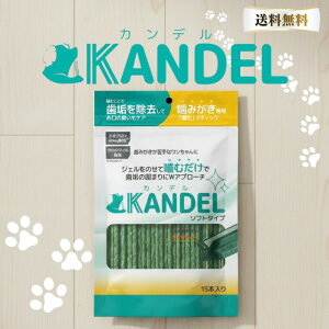 �y�Z�b�g�z�h�N�^�[�����f�� �J���f�� Dr.wandel & KANDEL �Z�b�g �h�N�^�[�����f�� �v���X ���� �f���^���P�A ���L ���� �P�A ���p ������ �����a�\�h �����f���J���f���@�׎�