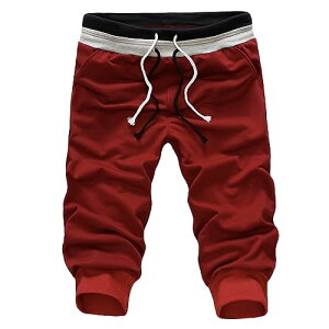 [bNX X^_[h] JWA n[t XEFbg pc 7 X|[c AEghA WEGXg Y HP001(bh,2XL)