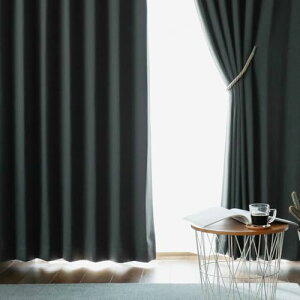 �O�����X�^�C�� �J�[�e�� �Ռ� 1�� �h�� �ՔM �f�M �􂦂� �`��L�� ���{���y13�F×280�T�C�Y�z 2���g �_�[�N�O���[ (��140cm×��180cm)