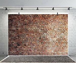Qinunipoto �����K���w�i�z �������B�e�w�i 1.5x1m �r�j�[���� �����̕Ǖ��̎ʐ^�w�i brick wall backdrop �B�e�p�w�i�V�[�g �ё��� �p�[�e�B�[ �����̑��� �z�M�w�i
