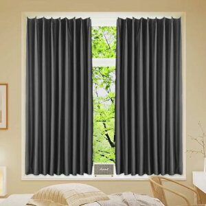 KAMIMORI ՌJ[e 95cm 100cm 1   ډB fM h h UVJbg ȃGl ۉ  n k Vv d؂ AWX^[tbNt 􂦂 ubN