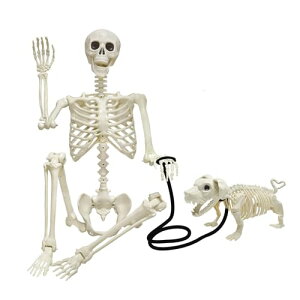 Loyimioo KCRc nEB [  [Zbg 165cmg XPg ~  | z[ halloween fR[V ͋Cp (165cm) [sAi]