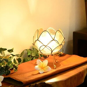 MANJA SLA-0001-WH E12/20W AWAƖ JsXL [^X e[uv STCY S5F (zCg) LEDΉ ԐڏƖ X^hƖ fXNCg AWAeCXg AWAG   