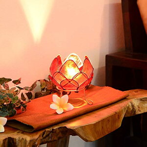 MANJA SLA-0001-RE E12/20W AWAƖ JsXL [^X e[uv STCY S5F (bh) LEDΉ ԐڏƖ X^hƖ fXNCg AWAeCXg AWAG    (R