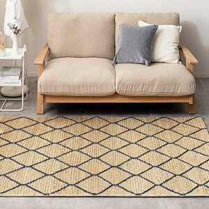  W[gO }bg bJ lCr[ 120×180cm  D VRf i` k ؍ t  H ~